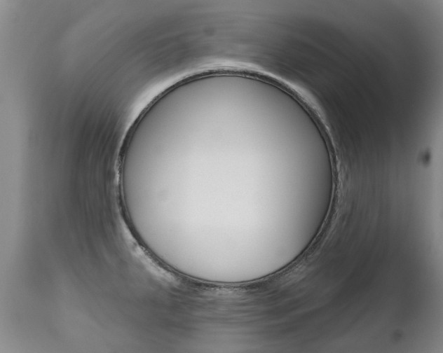 X0000112521287200908171103