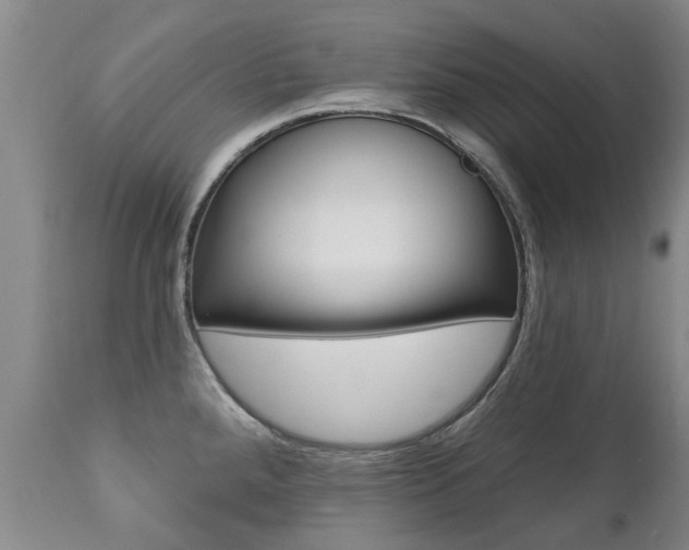 X0000112521288200908171103
