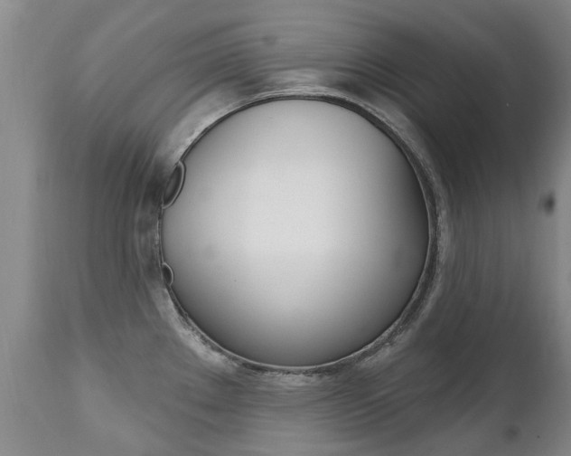 X0000112521289200908171103