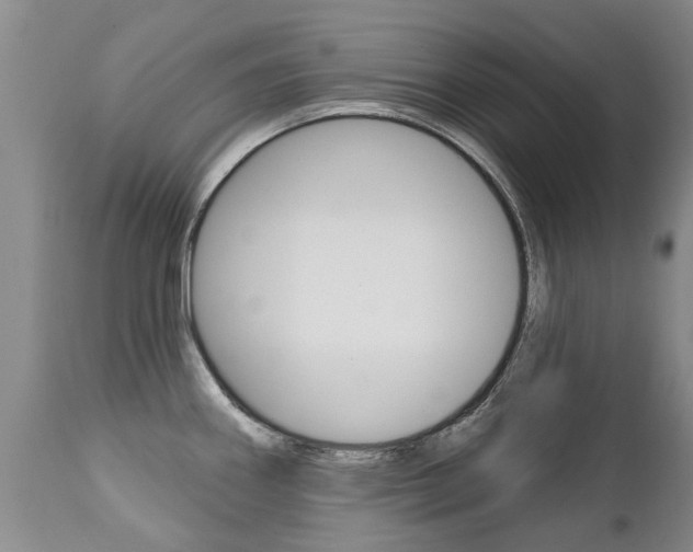 X0000112521290200908171103
