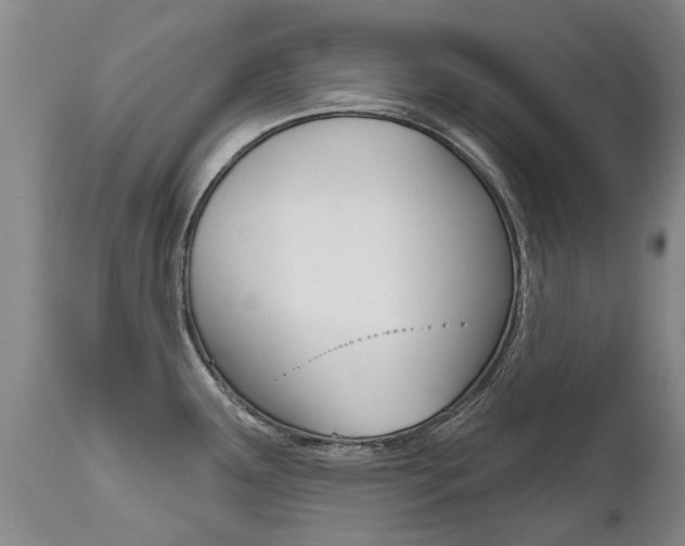 X0000112521291200908171103