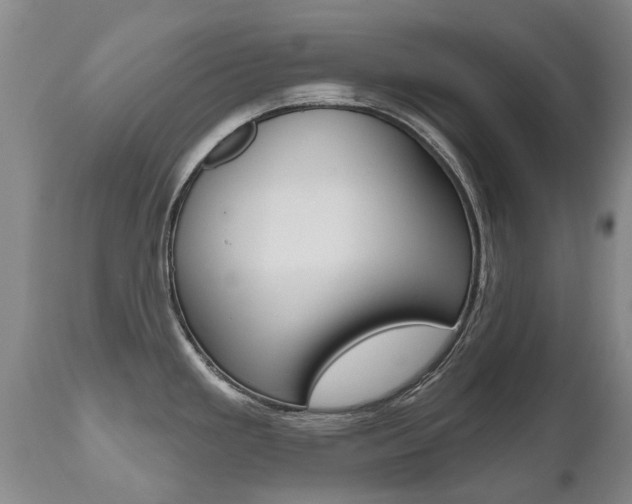 X0000112521293200908171103