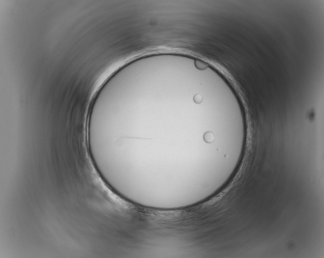 X0000112521294200908171103