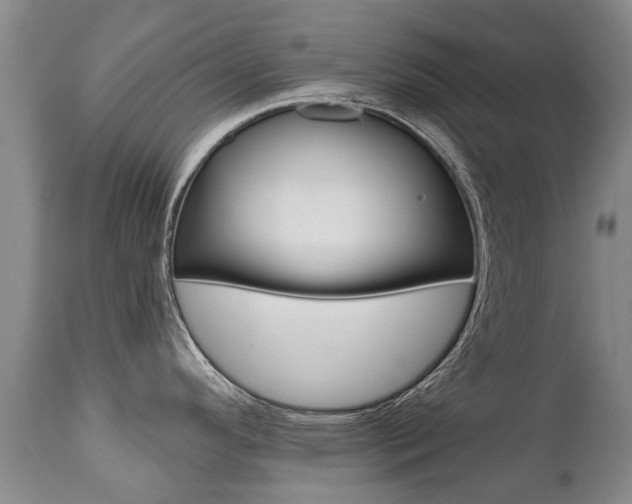 X0000112521296200908171103