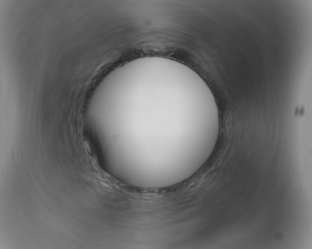 X0000112521297200908171102