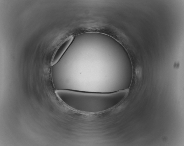 X0000112521300200908171102