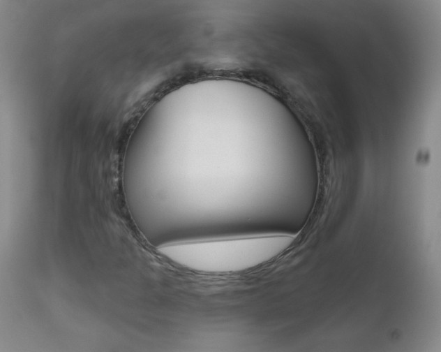 X0000112521301200908171102