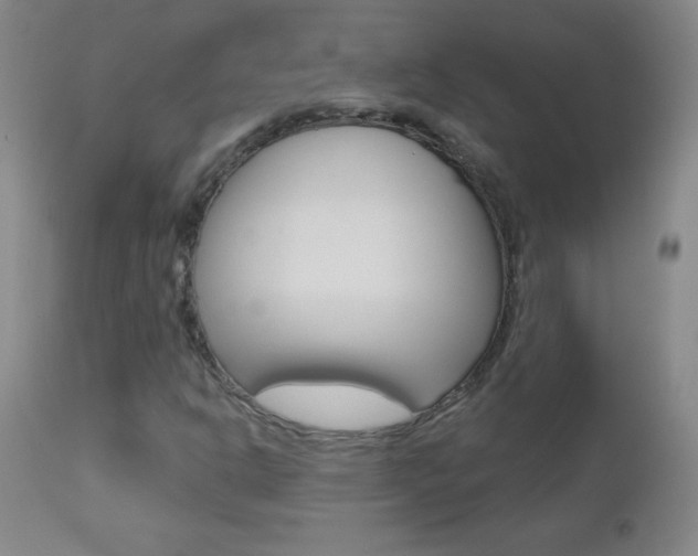 X0000112521302200908171102