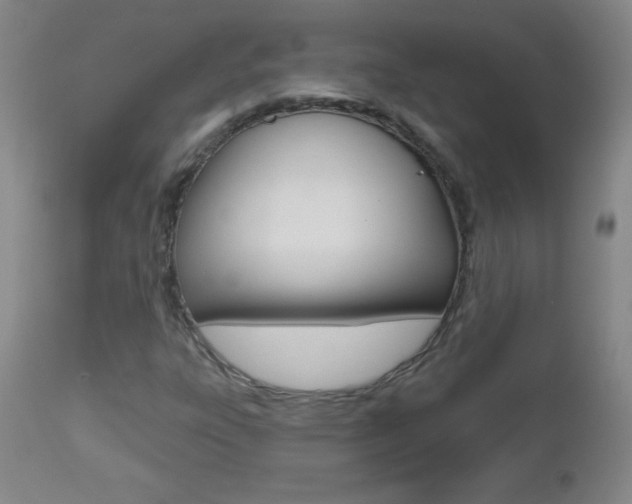 X0000112521303200908171102