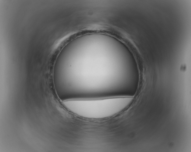 X0000112521304200908171102