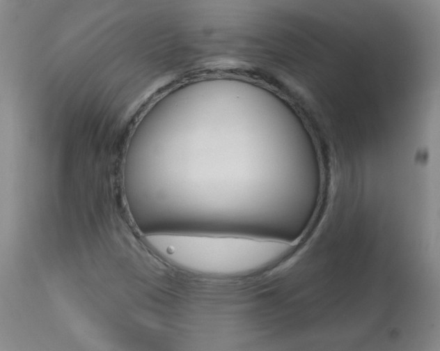 X0000112521305200908171102