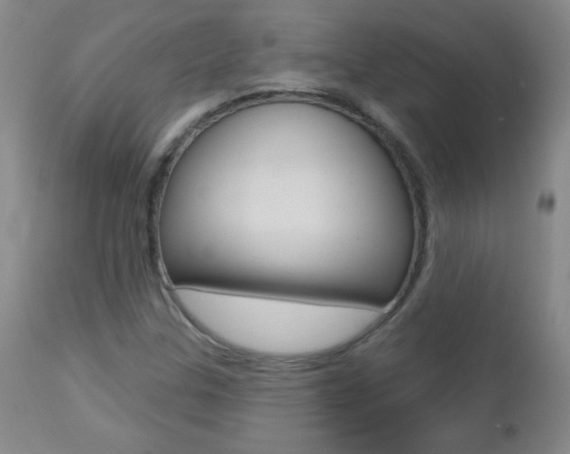 X0000112521307200908171102