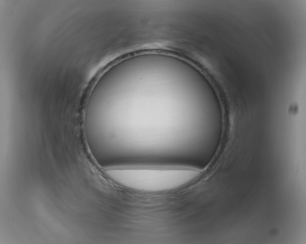 X0000112521308200908171102