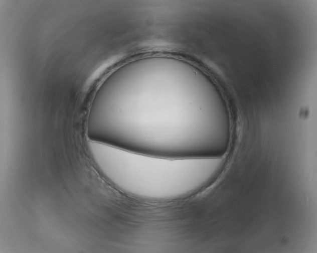 X0000112521309200908171102