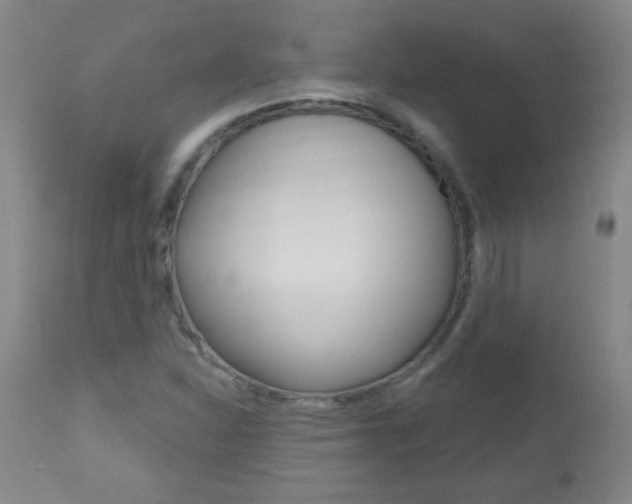 X0000112521310200908171102