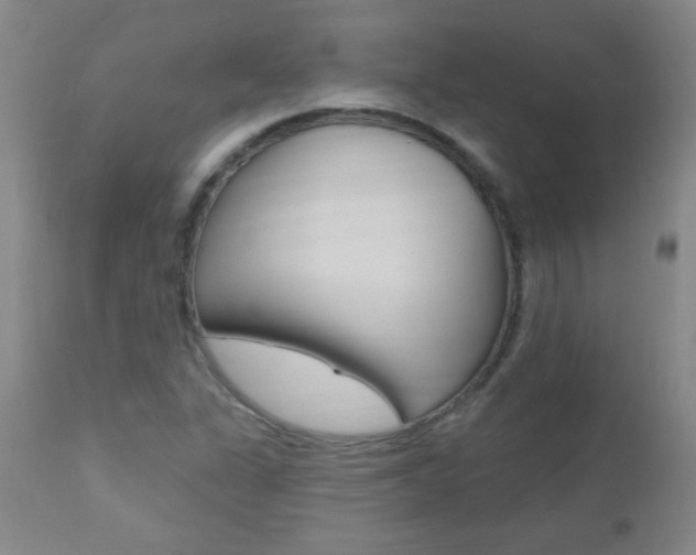 X0000112521311200908171102