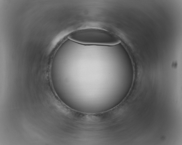 X0000112521312200908171102