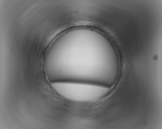 X0000112521313200908171102