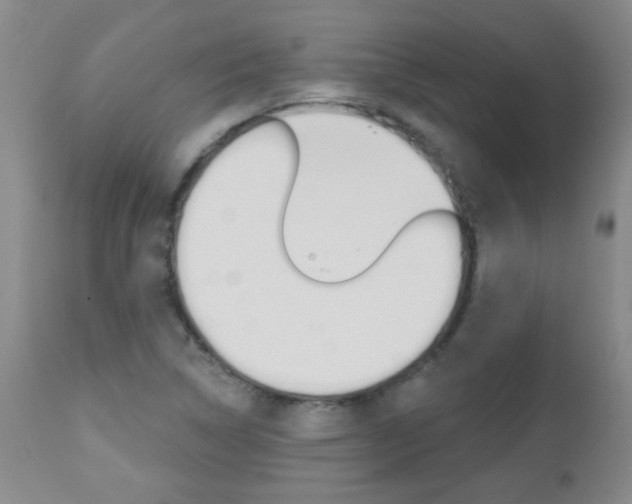 X0000112521314200908171102