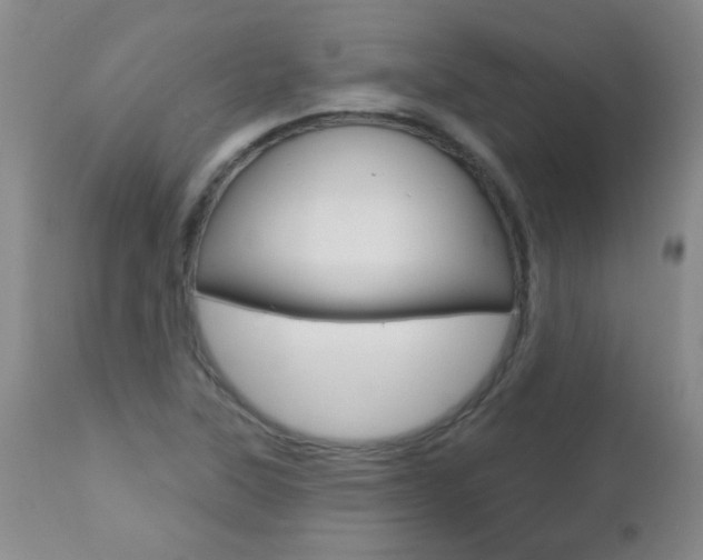 X0000112521315200908171102