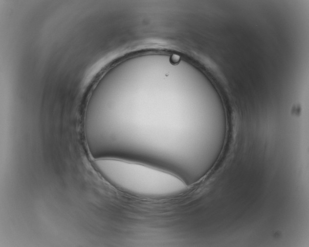 X0000112521318200908171102
