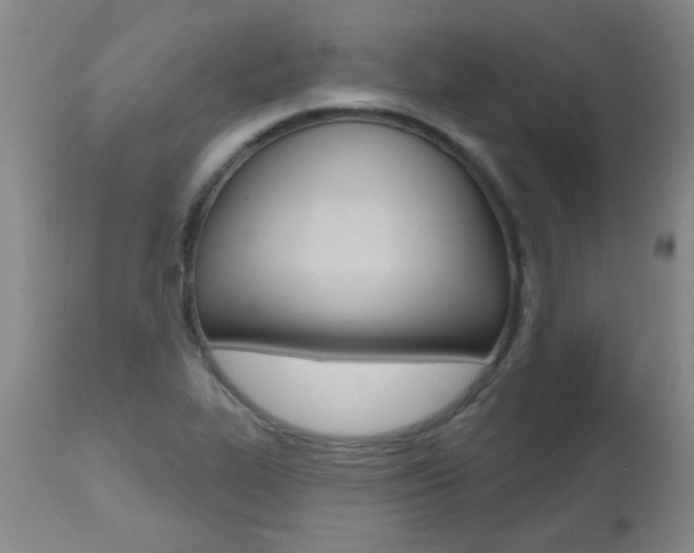 X0000112521319200908171102