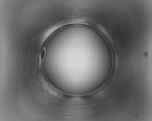 X0000112521320200908171102
