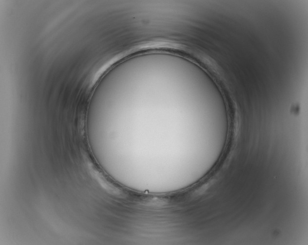 X0000112521321200908171102