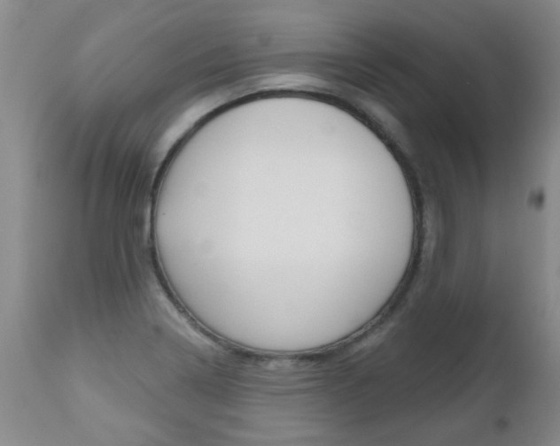 X0000112521322200908171102