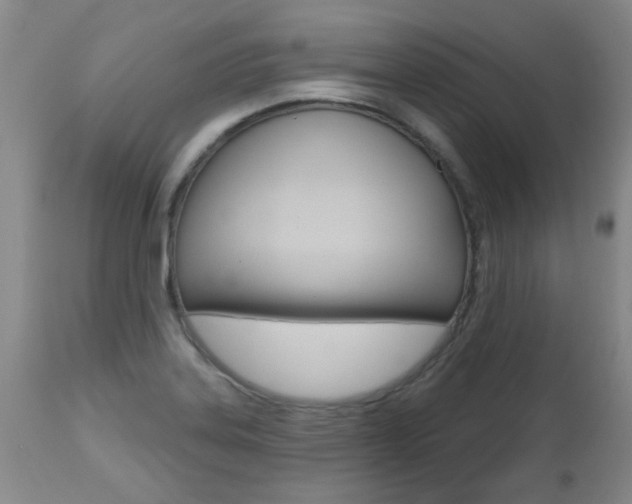 X0000112521323200908171103