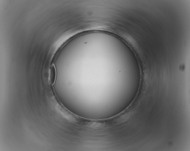 X0000112521324200908171103