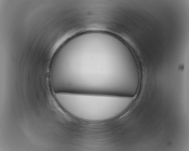 X0000112521325200908171103