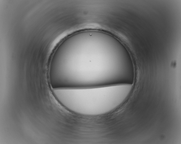 X0000112521326200908171103