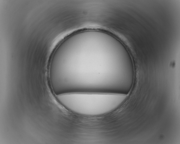 X0000112521327200908171103
