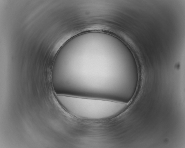 X0000112521329200908171103
