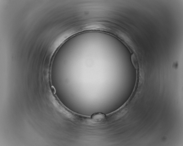 X0000112521330200908171103
