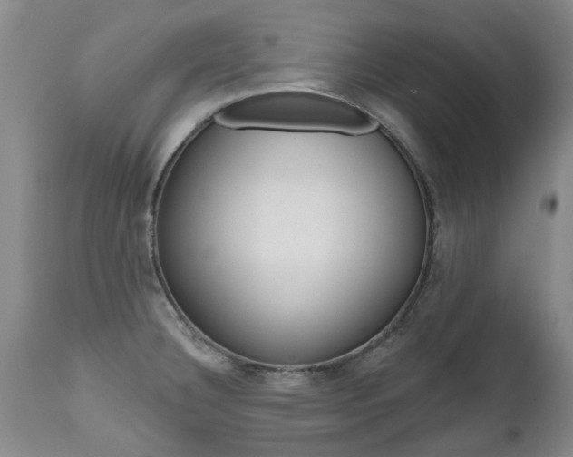 X0000112521332200908171103
