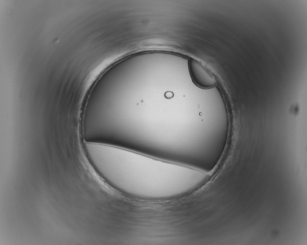 X0000112521333200908171103