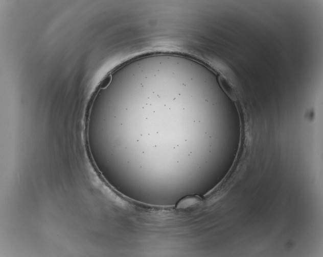 X0000112521334200908171103