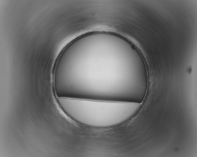 X0000112521335200908171103