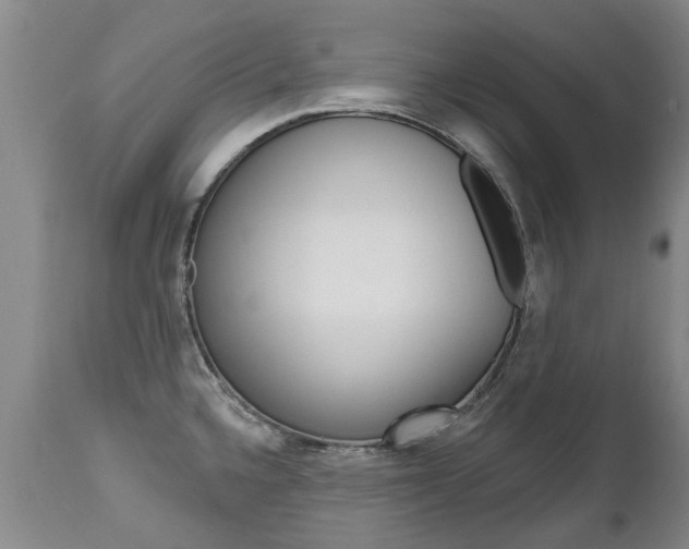 X0000112521336200908171103