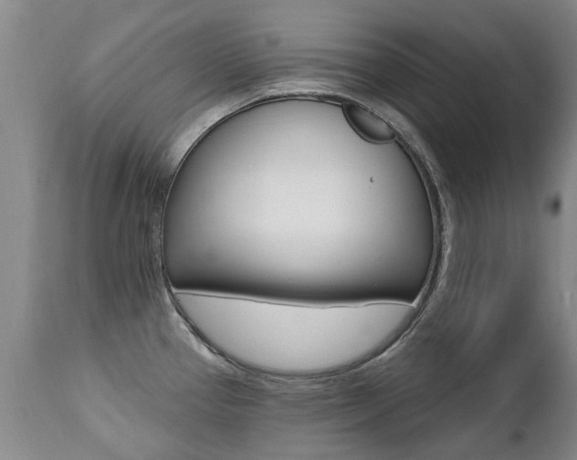 X0000112521337200908171103