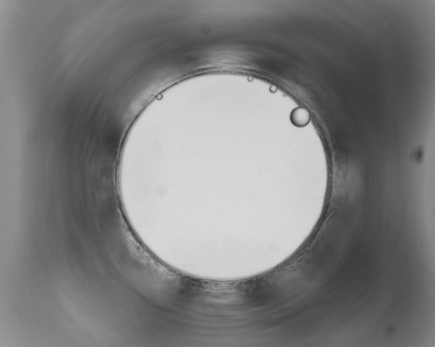 X0000112521338200908171103