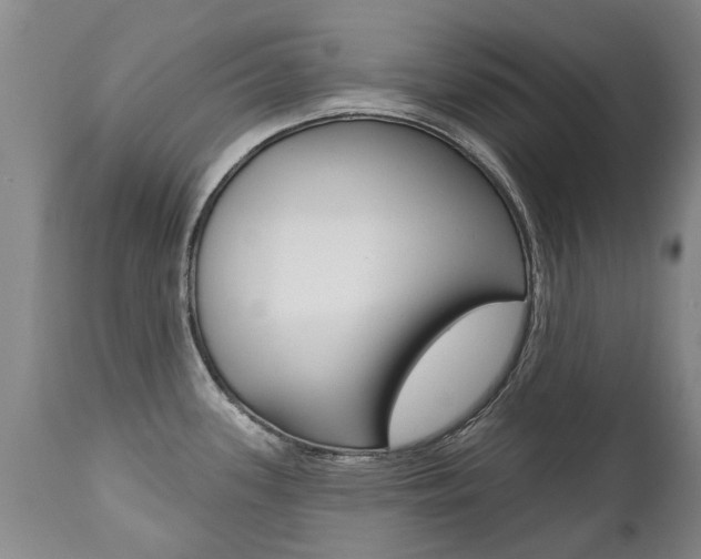 X0000112521339200908171103