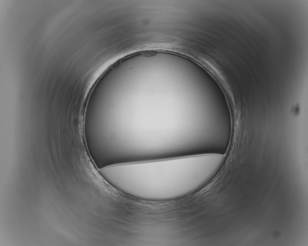 X0000112521340200908171103
