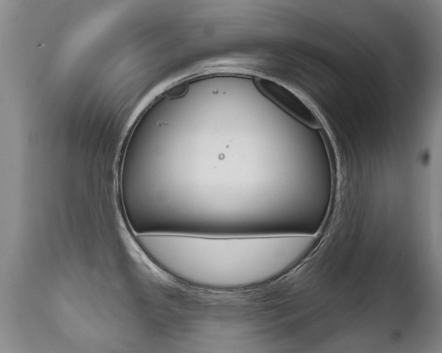X0000112521341200908171103