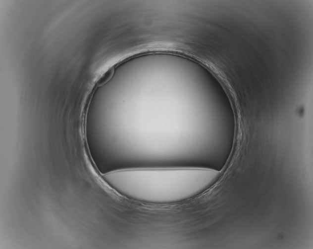 X0000112521342200908171103