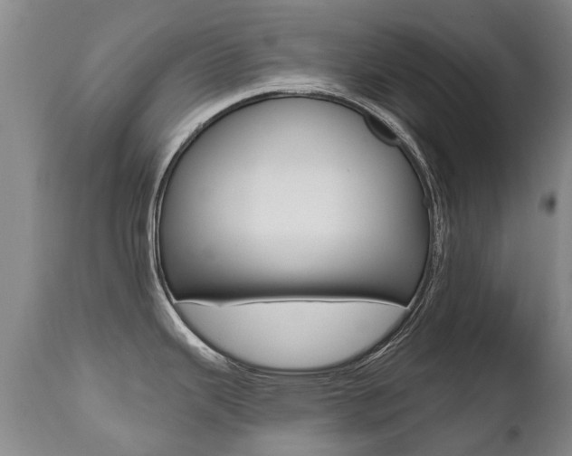 X0000112521343200908171103