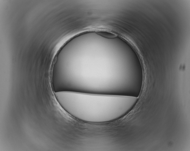 X0000112521344200908171103