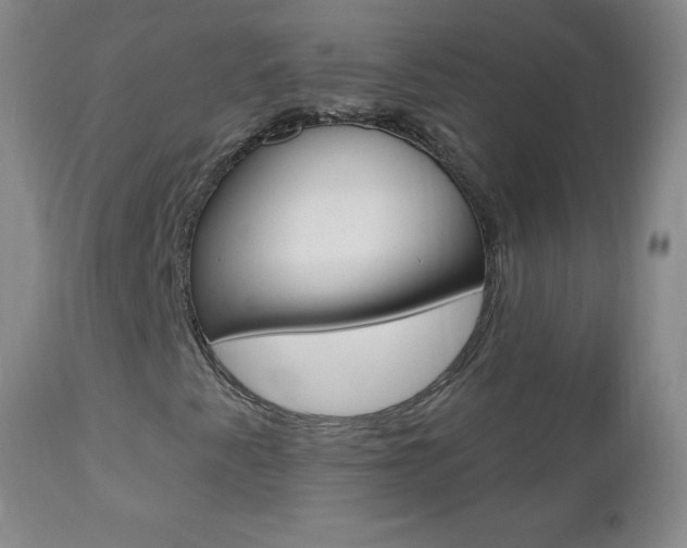 X0000112521345200908171102